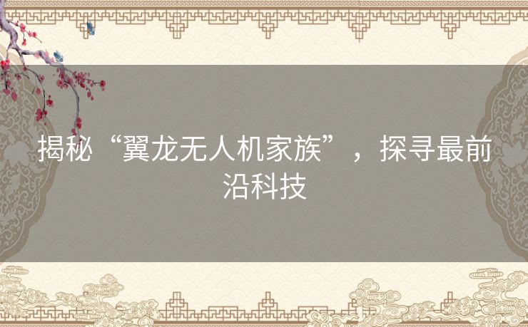 揭秘“翼龙无人机家族”,探寻最前沿科技 揭秘“翼龙无人机家族”,探寻最前沿科技