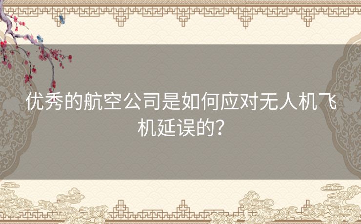 优秀的航空公司是如何应对无人机飞机延误的？
