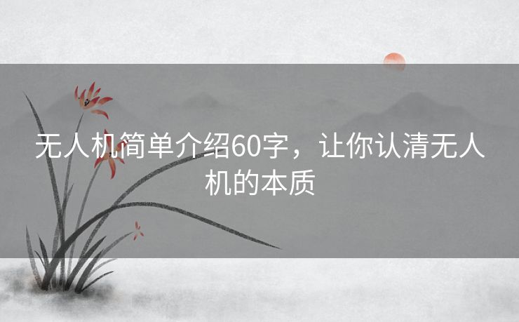 无人机简单介绍60字，让你认清无人机的本质