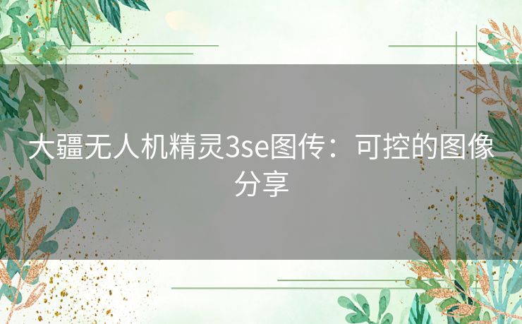 大疆无人机精灵3se图传:可控的图像分享 大疆无人机精灵3se图传:可控的图像分享
