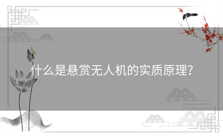 什么是悬赏无人机的实质原理？