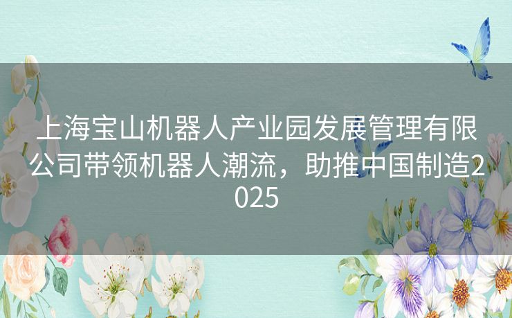上海宝山机器人产业园发展管理有限公司带领机器人潮流，助推中国制造2025