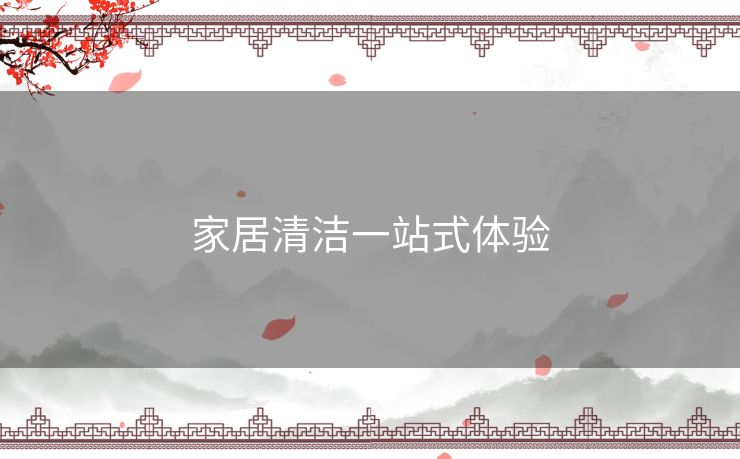 家居清洁一站式体验