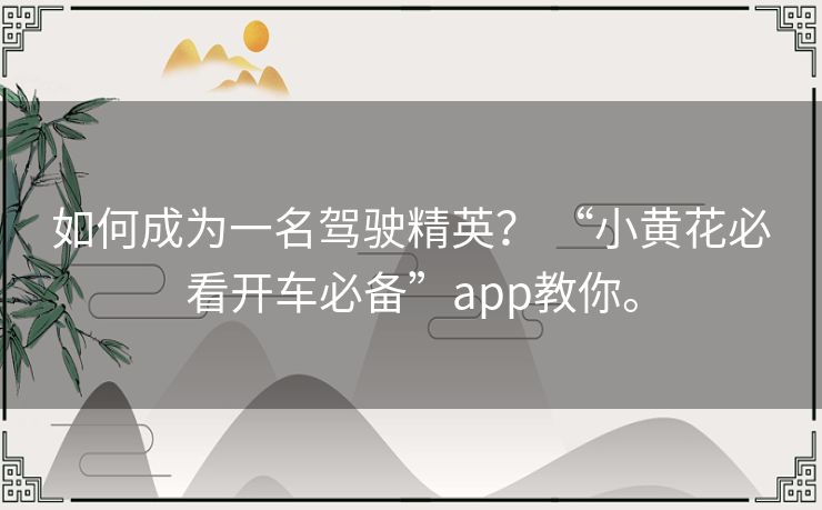 如何成为一名驾驶精英？ “小黄花必看开车必备”app教你。