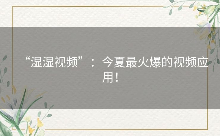 “湿湿视频”：今夏最火爆的视频应用！