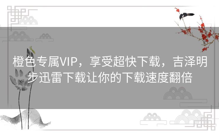 橙色专属VIP，享受超快下载，吉泽明步迅雷下载让你的下载速度翻倍