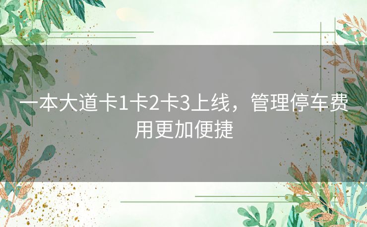 一本大道卡1卡2卡3上线，管理停车费用更加便捷