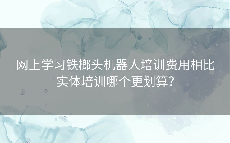 网上学习铁榔头机器人培训费用相比实体培训哪个更划算？