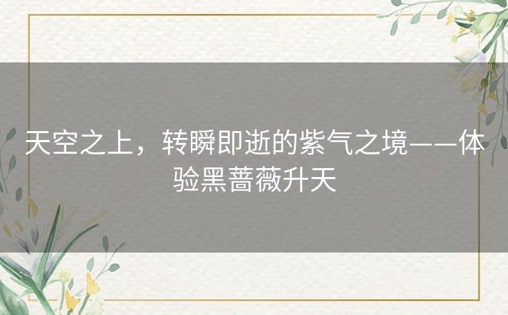 天空之上，转瞬即逝的紫气之境——体验黑蔷薇升天