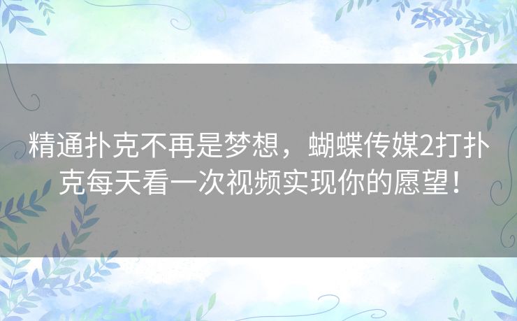 精通扑克不再是梦想，蝴蝶传媒2打扑克每天看一次视频实现你的愿望！