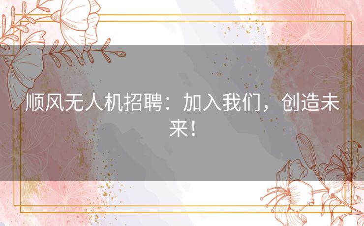 顺风无人机招聘：加入我们，创造未来！