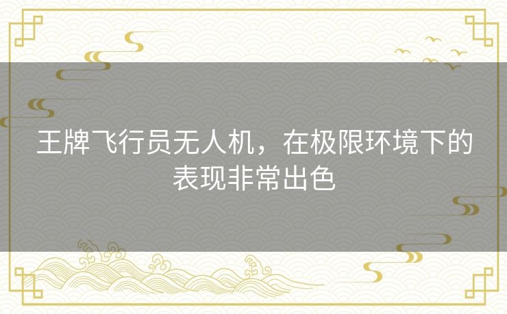 王牌飞行员无人机，在极限环境下的表现非常出色