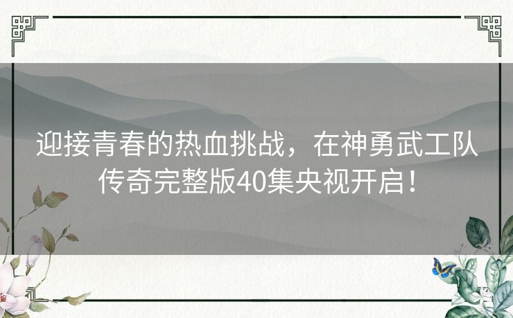 迎接青春的热血挑战，在神勇武工队传奇完整版40集央视开启！