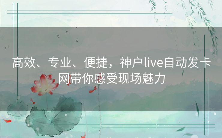 高效、专业、便捷，神户live自动发卡网带你感受现场魅力