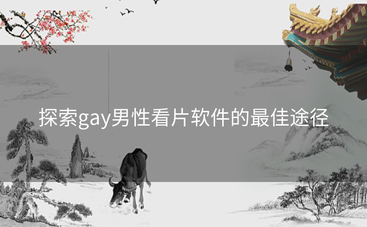 探索gay男性看片软件的最佳途径