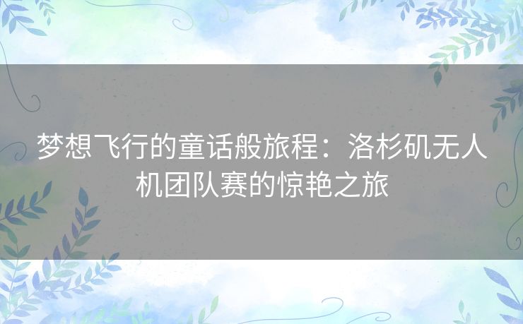 梦想飞行的童话般旅程：洛杉矶无人机团队赛的惊艳之旅