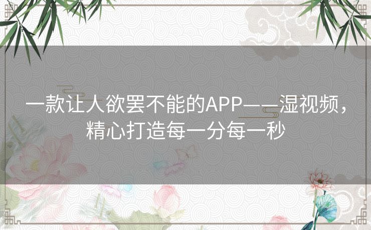 一款让人欲罢不能的APP——湿视频，精心打造每一分每一秒