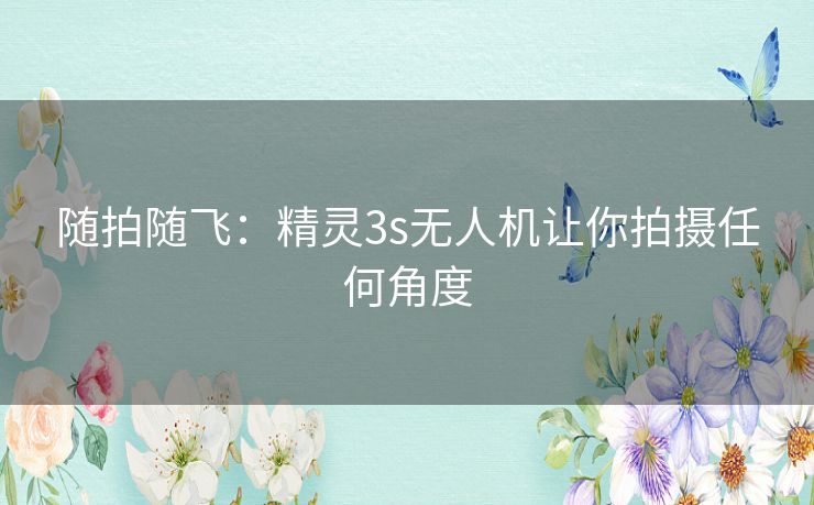 随拍随飞：精灵3s无人机让你拍摄任何角度