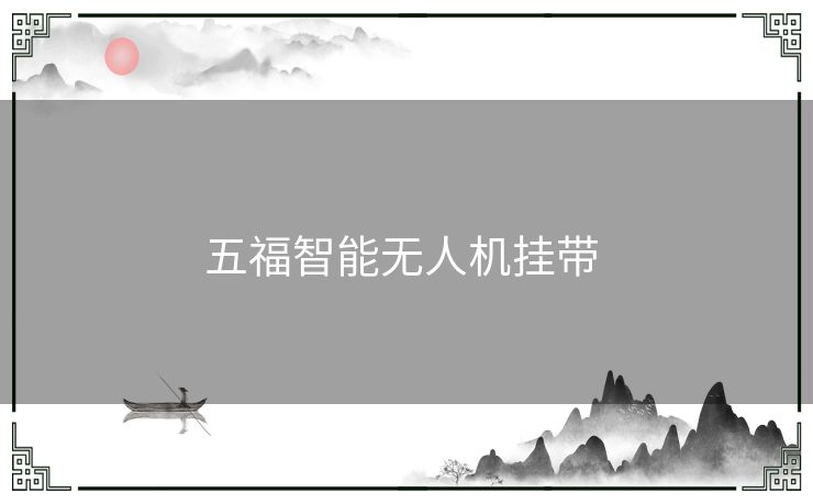 五福智能无人机挂带 