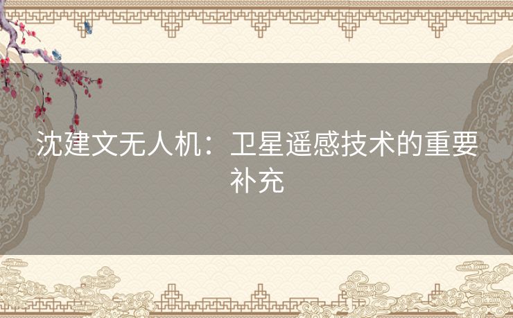 沈建文无人机：卫星遥感技术的重要补充