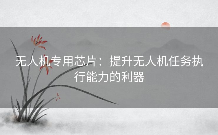 无人机专用芯片：提升无人机任务执行能力的利器