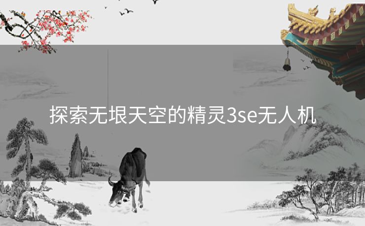 探索无垠天空的精灵3se无人机