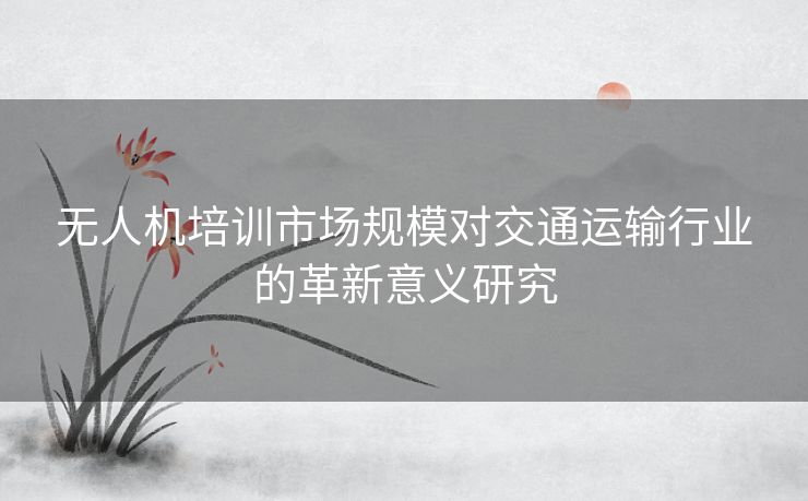 无人机培训市场规模对交通运输行业的革新意义研究