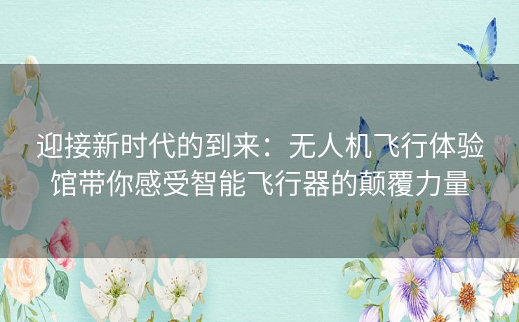 迎接新时代的到来：无人机飞行体验馆带你感受智能飞行器的颠覆力量