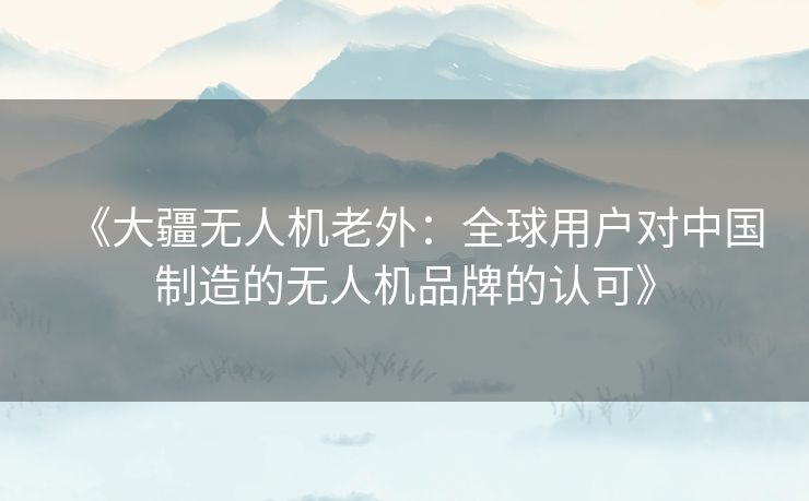 《大疆无人机老外：全球用户对中国制造的无人机品牌的认可》