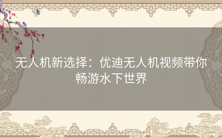 无人机新选择：优迪无人机视频带你畅游水下世界