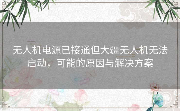 无人机电源已接通但大疆无人机无法启动，可能的原因与解决方案