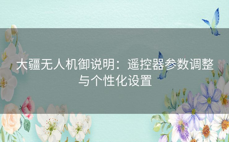 大疆无人机御说明：遥控器参数调整与个性化设置