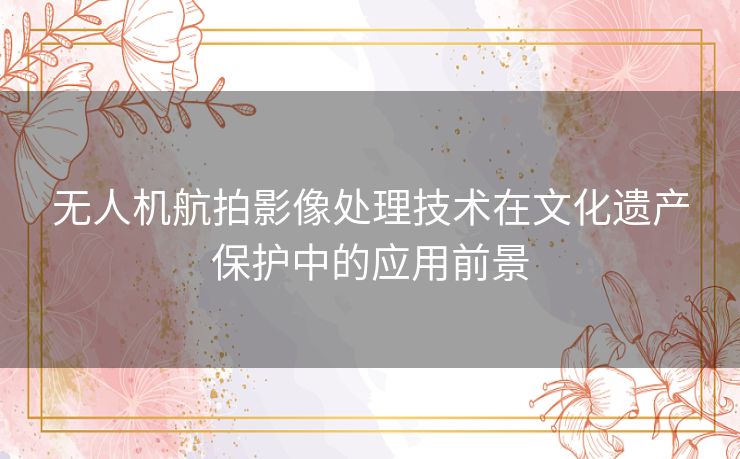 无人机航拍影像处理技术在文化遗产保护中的应用前景