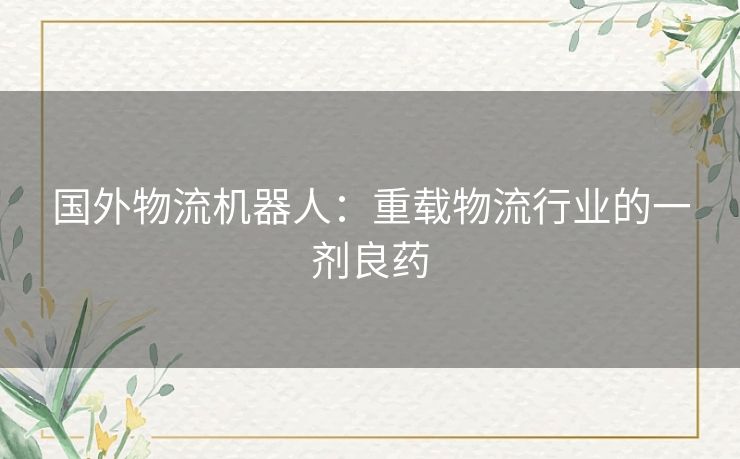 国外物流机器人：重载物流行业的一剂良药