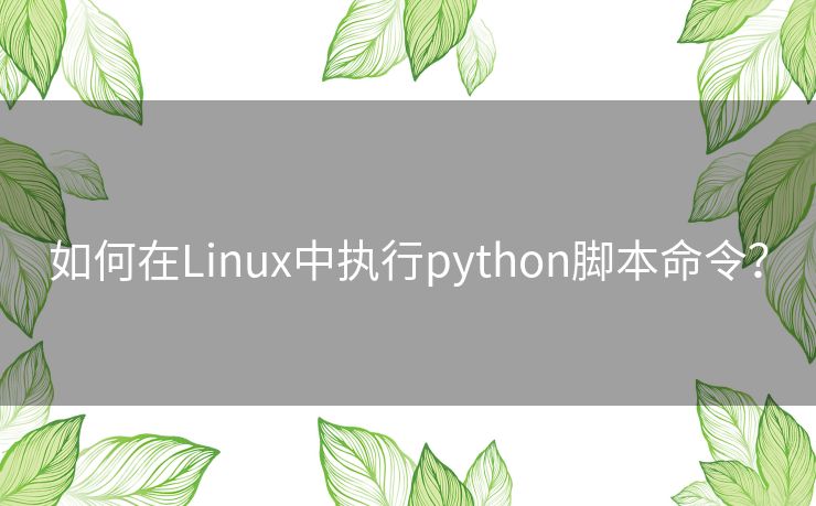 如何在Linux中执行python脚本命令？