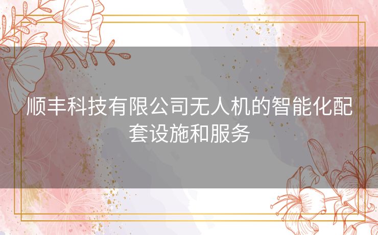 顺丰科技有限公司无人机的智能化配套设施和服务