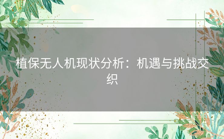 植保无人机现状分析：机遇与挑战交织