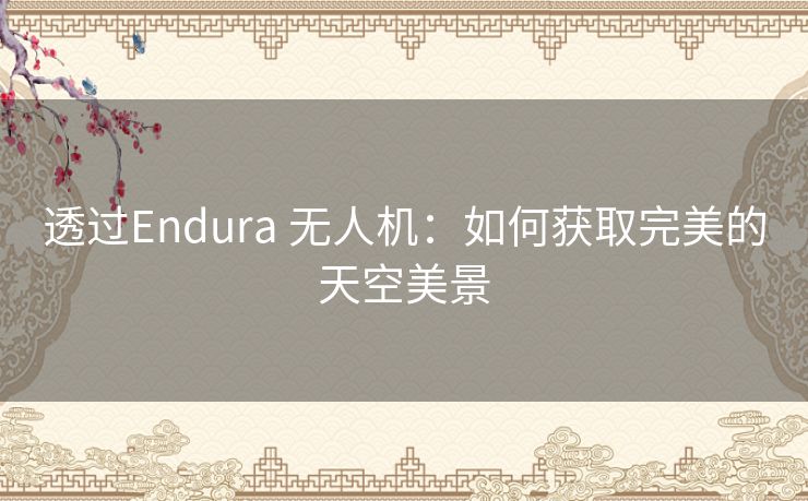 透过Endura 无人机：如何获取完美的天空美景