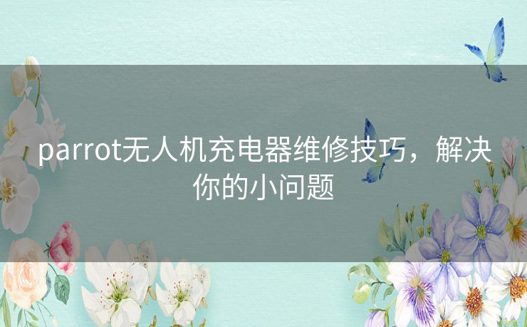 parrot无人机充电器维修技巧，解决你的小问题