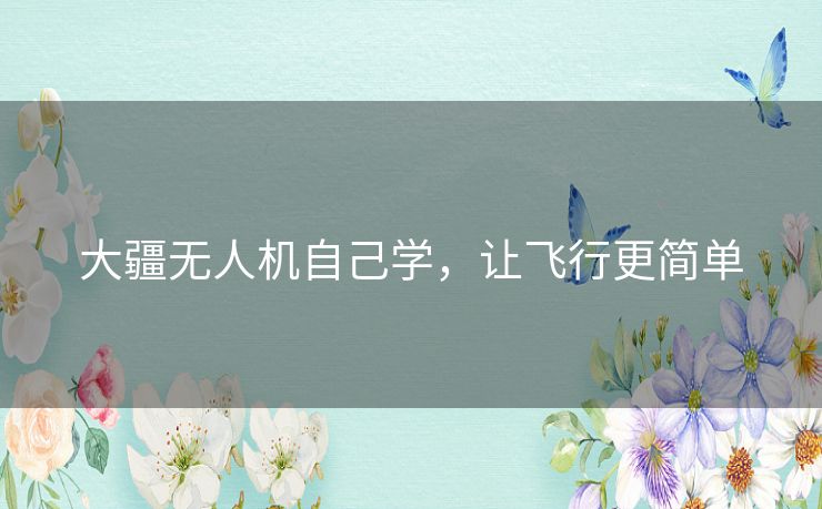 大疆无人机自己学，让飞行更简单
