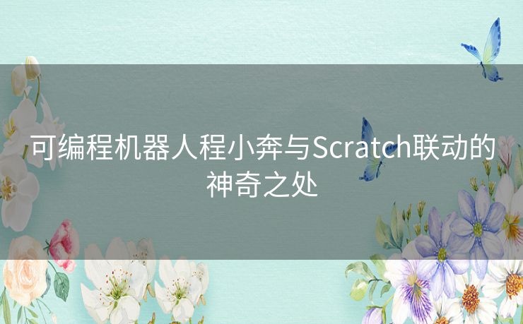 可编程机器人程小奔与Scratch联动的神奇之处