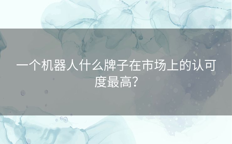 一个机器人什么牌子在市场上的认可度最高？