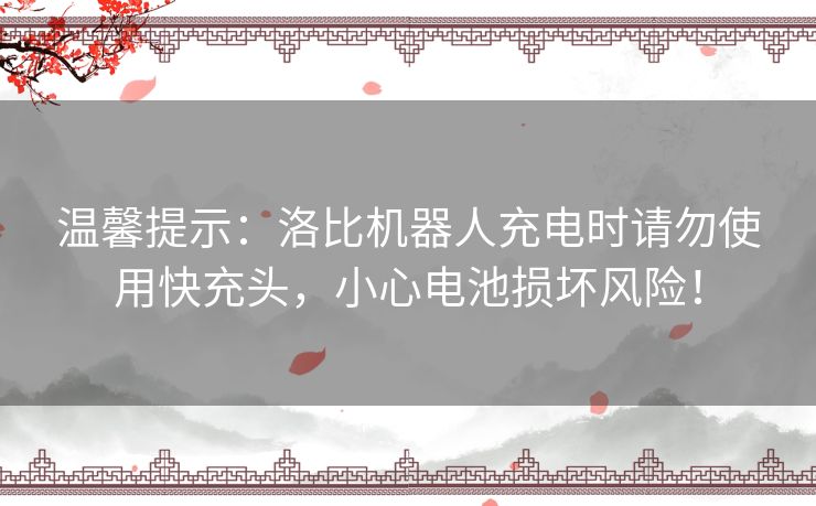 温馨提示：洛比机器人充电时请勿使用快充头，小心电池损坏风险！