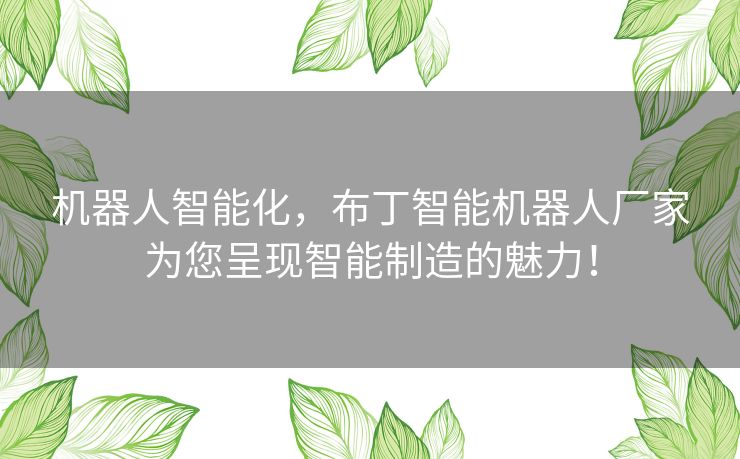 机器人智能化，布丁智能机器人厂家为您呈现智能制造的魅力！
