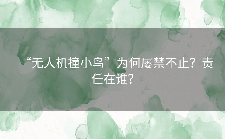 “无人机撞小鸟”为何屡禁不止？责任在谁？