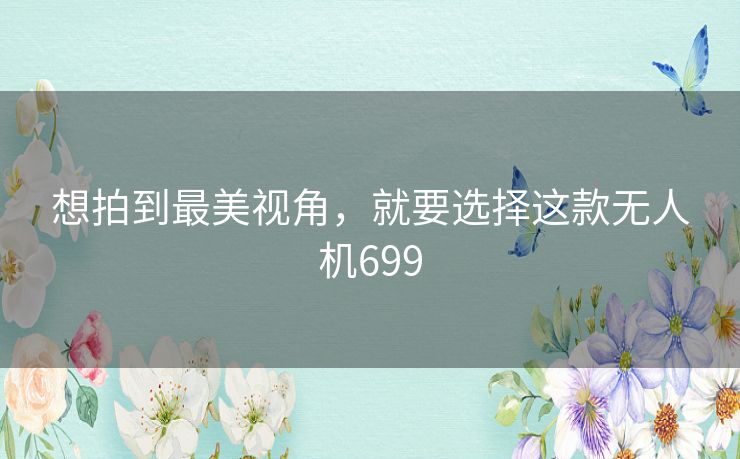 想拍到最美视角，就要选择这款无人机699