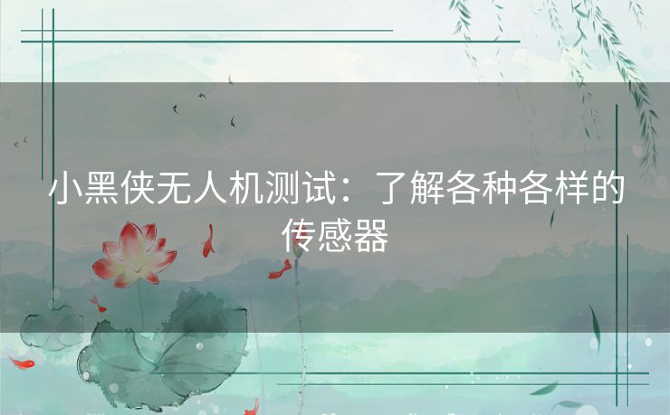 小黑侠无人机测试：了解各种各样的传感器