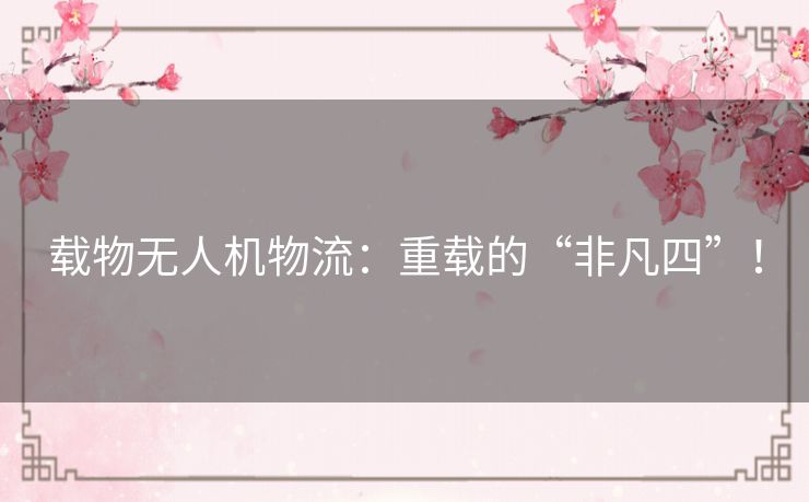 载物无人机物流：重载的“非凡四”！