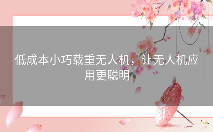 低成本小巧载重无人机，让无人机应用更聪明