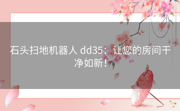 石头扫地机器人 dd35：让您的房间干净如新！